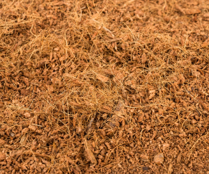 Premium chop fibre blocks ideal for hydroponics and horticultural use