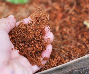 High-quality compressed coco pith blocks for moisture retention and aeration