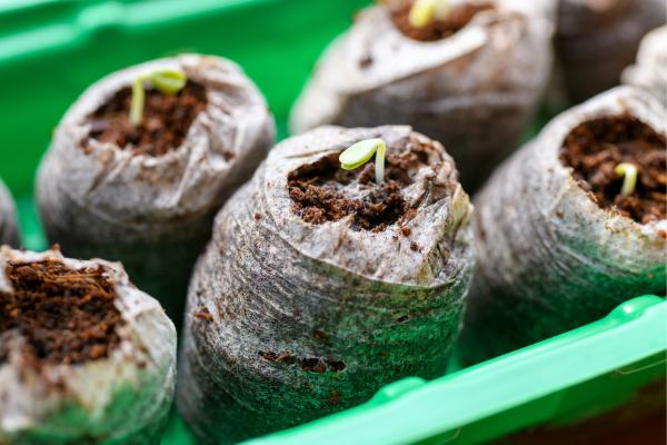 Product usage tips for coco peat grow bricks, demonstrating how to mix with other soil components to enhance plant health and nutrient absorption