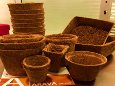 Coco coir