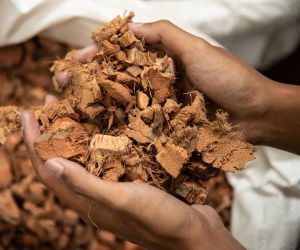 ustainably sourced husk chips blocks for soil aeration and moisture retention